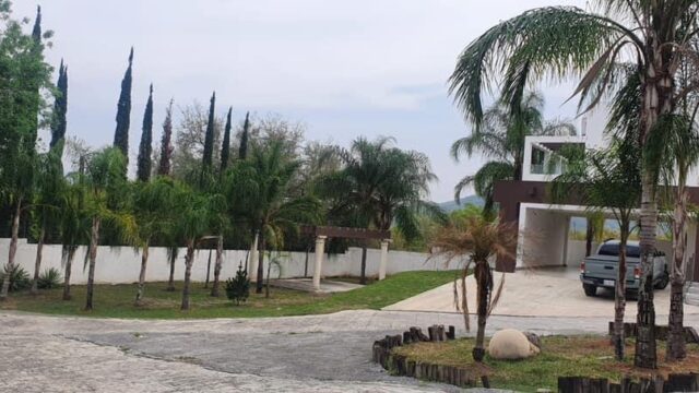 WhatsApp Image 2025-04-10 at 11.24.41 (4)