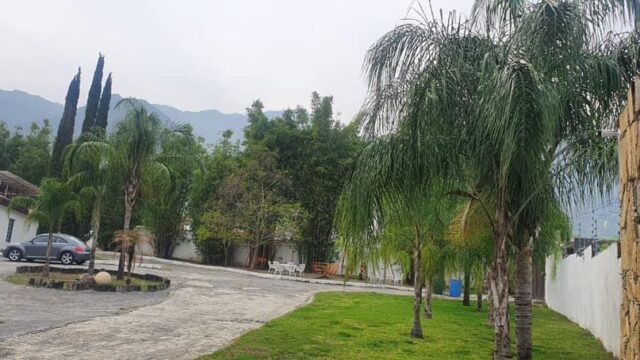 WhatsApp Image 2025-04-10 at 11.24.41