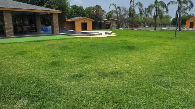 WhatsApp Image 2025-05-28 at 18.19.41 (2)