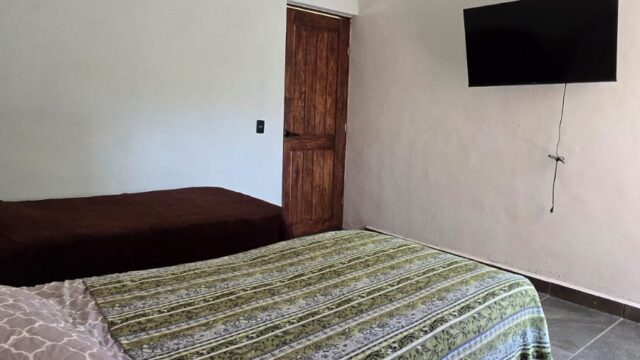 WhatsApp Image 2025-05-28 at 18.19.43 (1)