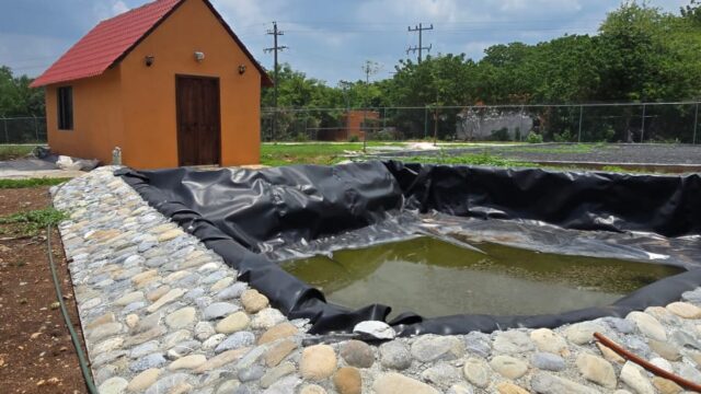 WhatsApp Image 2025-05-28 at 18.19.45 (3)