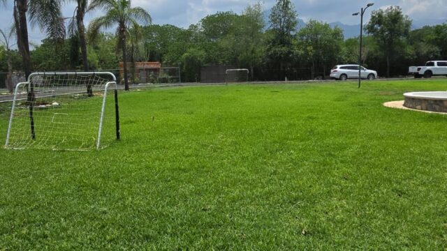 WhatsApp Image 2025-05-28 at 18.19.45