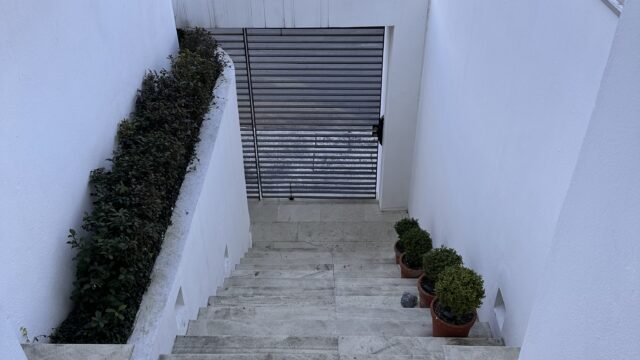 Foto 26-02-25, 4 51 51 pm