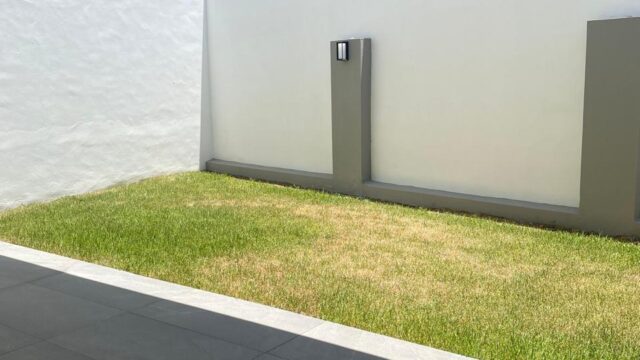 WhatsApp Image 2025-08-04 at 19.45.01 (1)