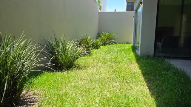 WhatsApp Image 2025-08-11 at 12.14.10