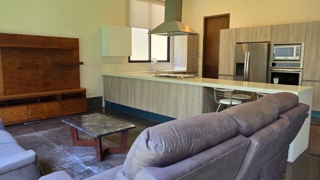 WhatsApp Image 2025-08-11 at 12.14.11